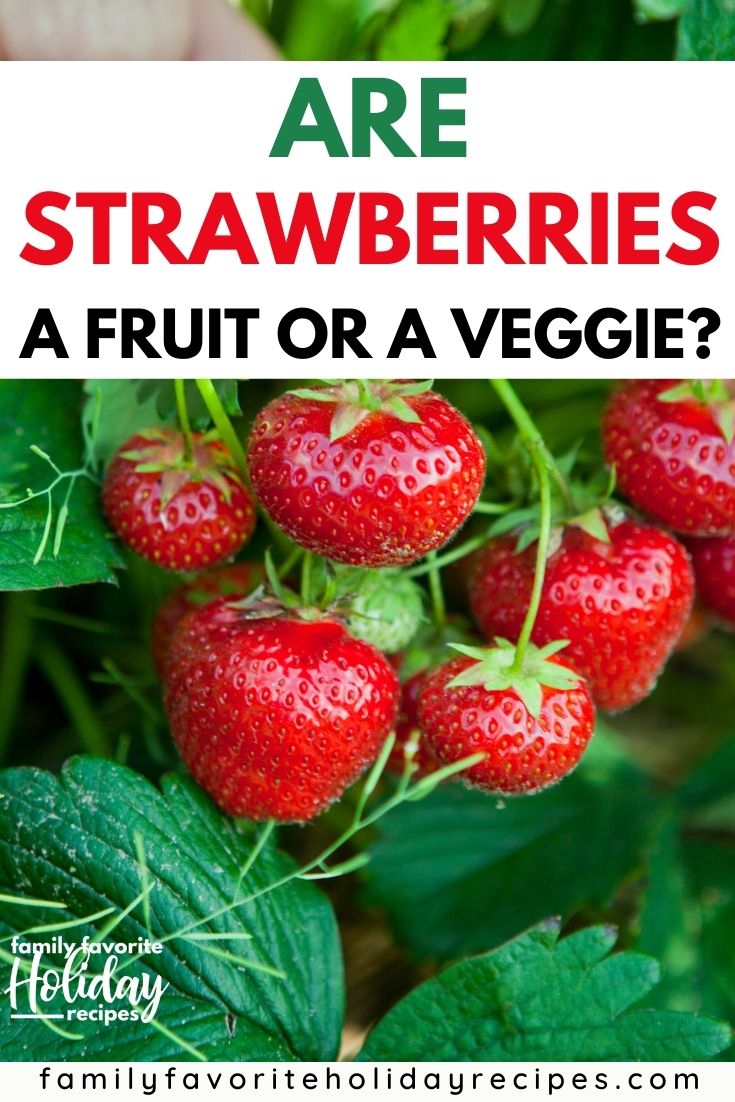 Is A Strawberry A Vegetable Or A Fruit A Science Teacher Explains