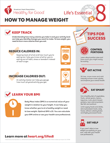 Watching Your Weight With Healthy Foods