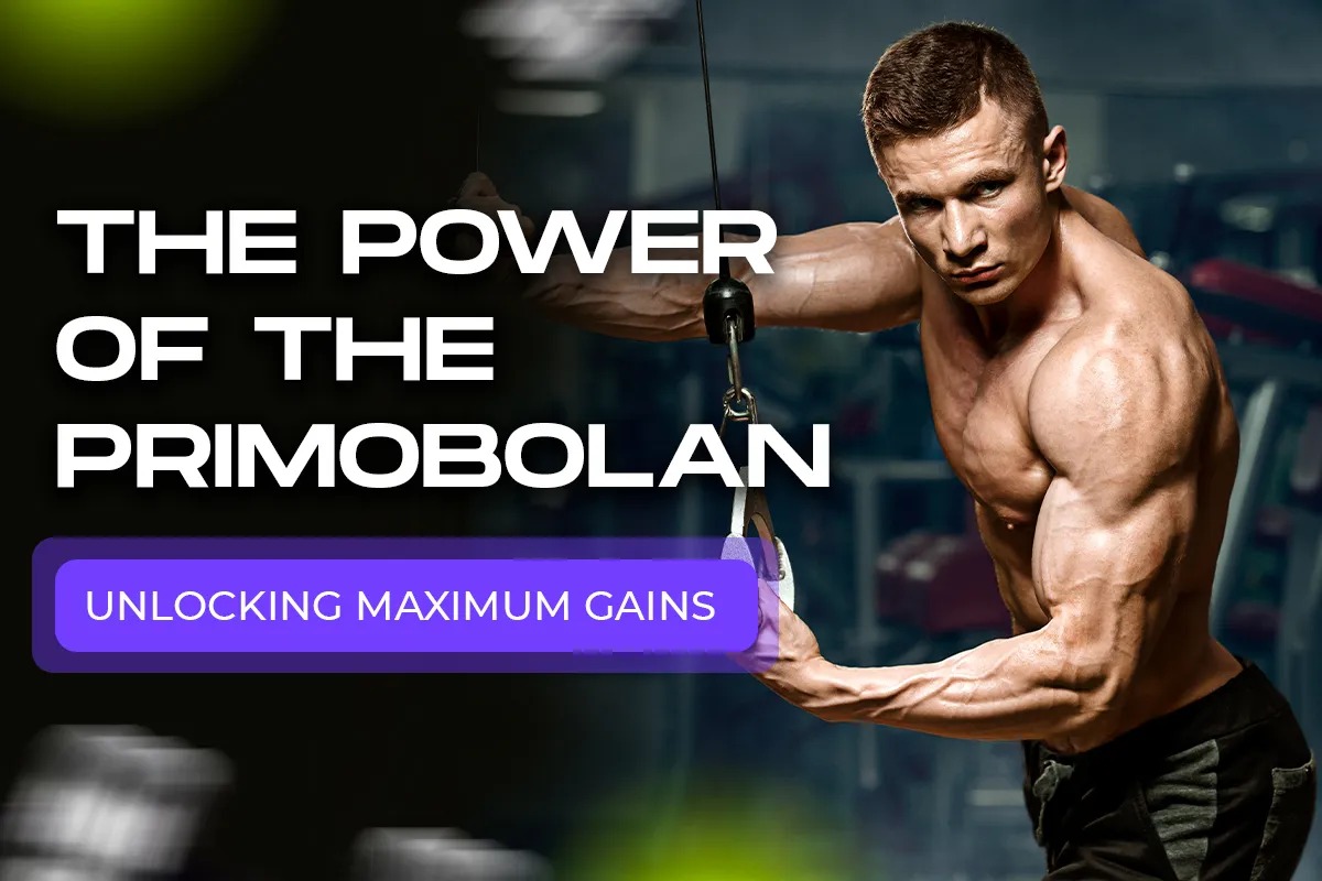 what-do-anabolic-and-catabolic-mean-in-weight-training-unlocking-the